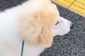 大好きなお姉さんの…の画像