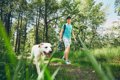 犬の飼い主は年間平…の画像