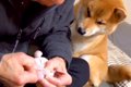 『壊れたおもちゃ』…の画像