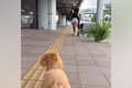離れて暮らすお姉ち…の画像