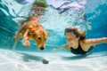 愛犬と水遊びを楽し…の画像