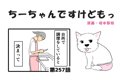 ちーちゃんですけど…の画像