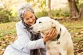 愛犬のために高齢の…の画像