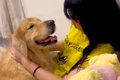 高校生になり忙しく…の画像