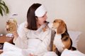 犬が早朝に『飼い主…の画像