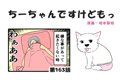 ちーちゃんですけど…の画像