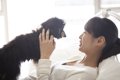 『嫉妬深い犬』がや…の画像