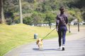 やってない？犬に絶…の画像