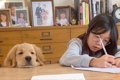 宿題をする女の子を…の画像