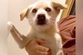 施設から引き取った…の画像