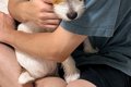 お父さんの腕の中で…の画像