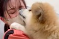 『もふもふなぬいぐ…の画像