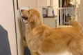 久しぶりに友人がお…の画像