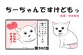 ちーちゃんですけど…の画像