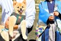 3歳の男の子が『犬と…の画像