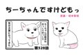 ちーちゃんですけど…の画像