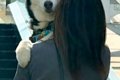 1年ぶりに『苦手な階…の画像