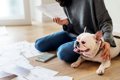 『費用がかかる犬』…の画像