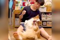 『950日間、犬の歯磨…の画像