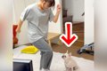 体育テストを控えた…の画像