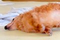 病院検査のため、お…の画像