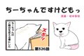 ちーちゃんですけど…の画像