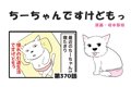  ちーちゃんですけど…の画像