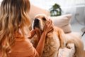 犬が人間のことを『…の画像