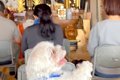 ご祈祷に参加した犬→…の画像