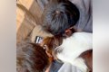 父と兄がスマホを見…の画像