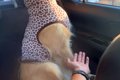 車で『買い物中の妻…の画像