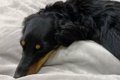 ベッドで眠っていた…の画像
