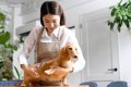 犬に携わる仕事の給…の画像