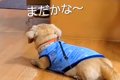毎週末、施設にいる…の画像