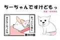 ちーちゃんですけど…の画像