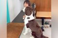 ドアの前でパパの帰…の画像