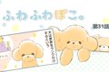 ふわふわぽこ。【第3…の画像