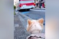 海外で単身赴任中の…の画像