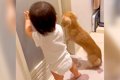 犬と赤ちゃんが『入…の画像