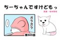 ちーちゃんですけど…の画像