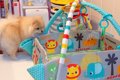 赤ちゃんのために『…の画像