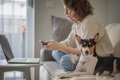 『犬を飼うのに向い…の画像