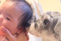 赤ちゃんが生まれた…の画像