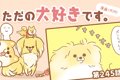 ただの犬好きです。…の画像