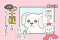 うちの王様にはどう…の画像