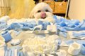 おじいちゃんおばあ…の画像
