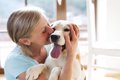 犬が飼い主の手にあ…の画像