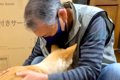 介護が必要な犬が『…の画像