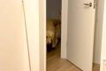 赤ちゃんが家に来た…の画像