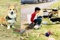 写真に写った男の子…の画像